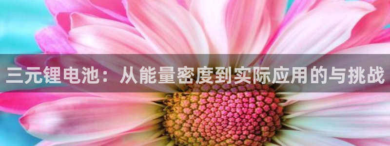 USDT下载最新版本2023：三元锂电池